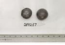 Click for 1 image(s) for this accession. FRUIT